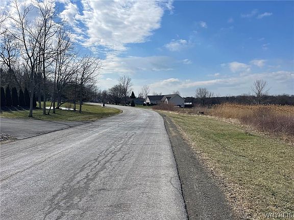 Looking West down Carter Dr