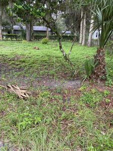 1041 Elm St, Welaka, FL, 32193