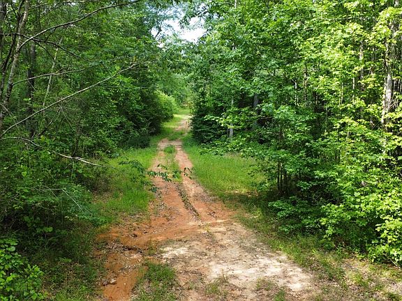 3rd image of Lee Road 391