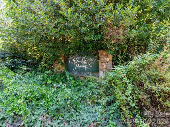 0 Rhododendron Dr #15 & 16, Saluda, NC 28773