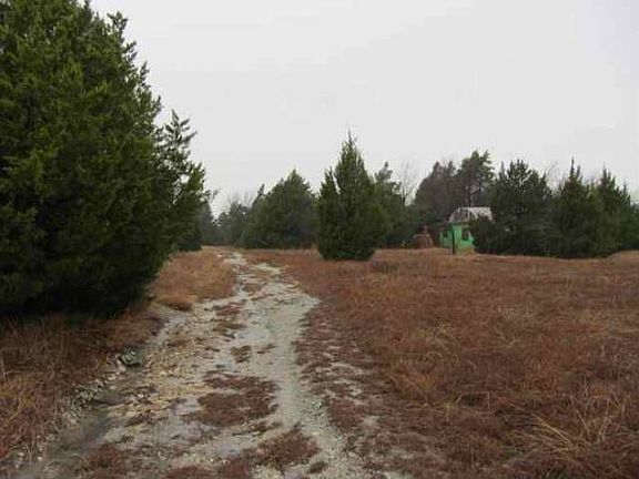 Looking towards house