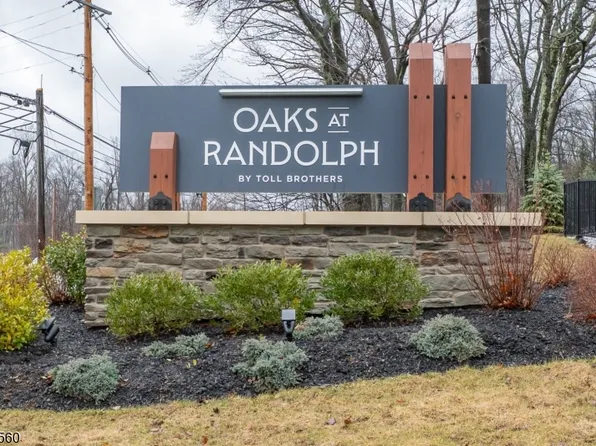 18 Flower Horn Blvd, Randolph Twp., NJ 07869