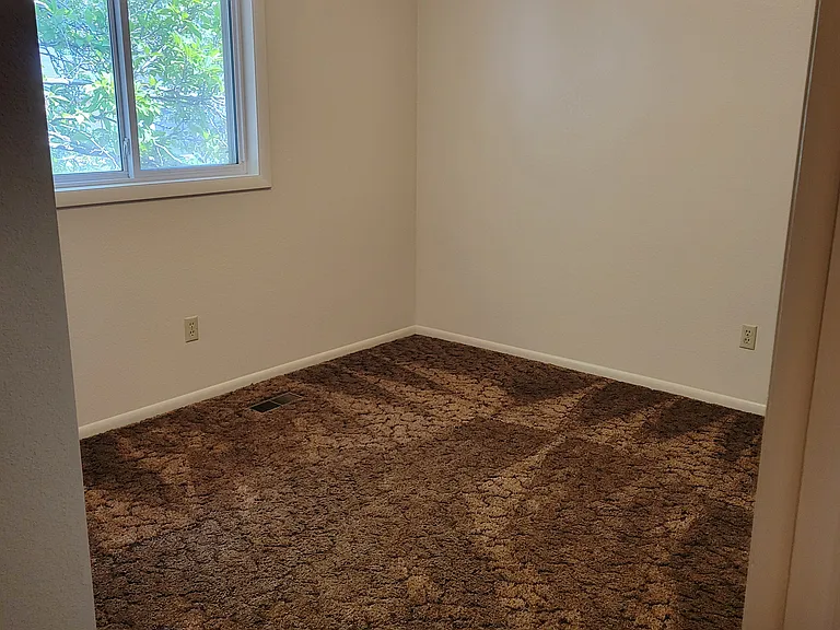 2425 Wildflower Dr — Photo 10