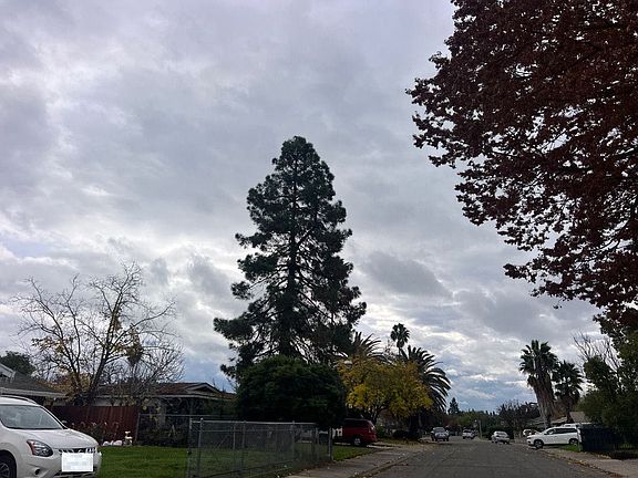 4th image of 7697 Millroy Way