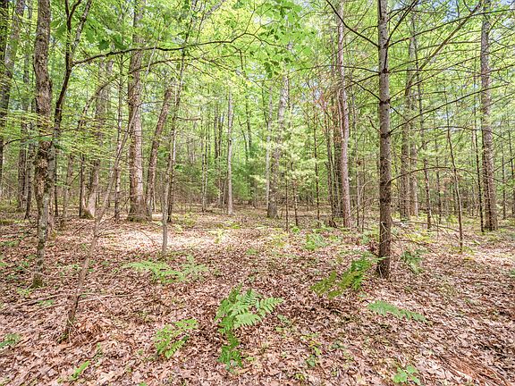 5th image of Par 15 W Mile Rd #12