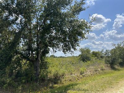 20968 NW 264 Street, Okeechobee, FL, 34972
