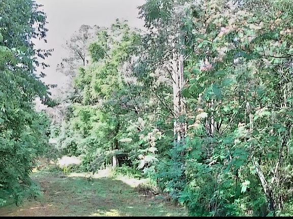 2nd image of 0 N Highway 341 #246