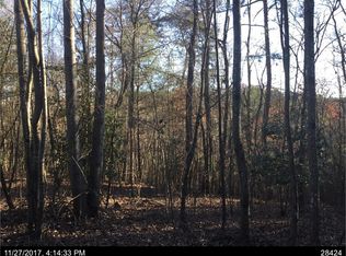 150A Blackberry Cir, Ellijay, GA 30536