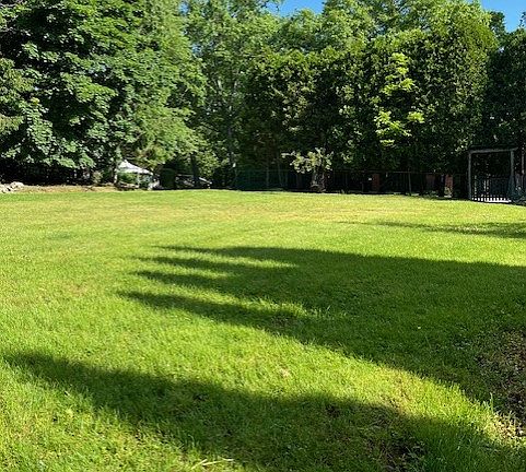 Large back yard half acre corner lot