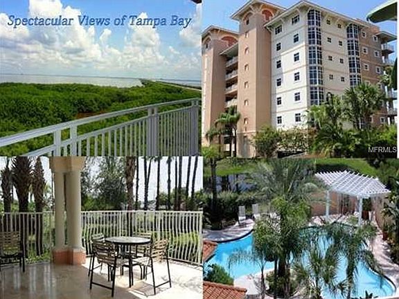 2nd image of 12077 Gandy Blvd N APT 373