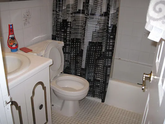 Rented by 18 REALTY | media 5