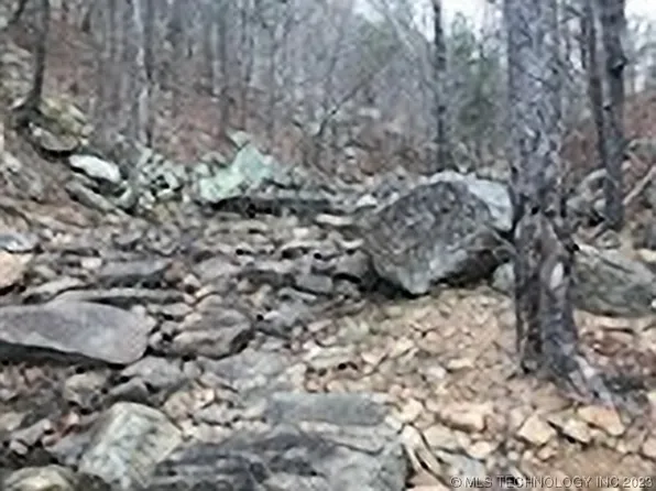 99640 Flag Pole Rd, Clayton, OK 74536