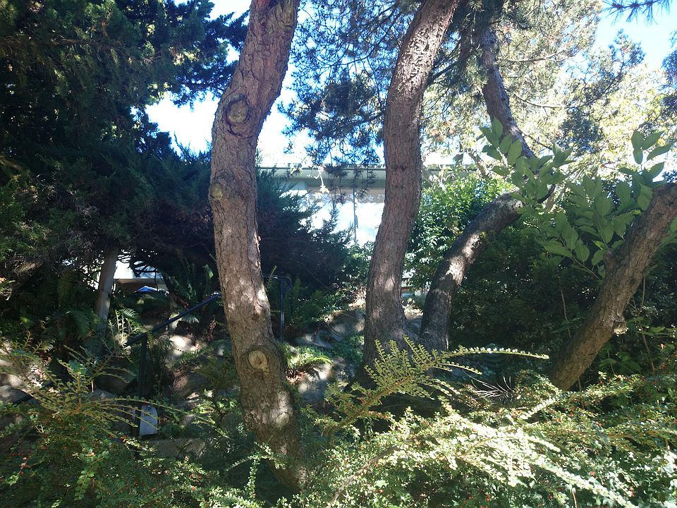 2nd image of 3844 42nd Ave NE