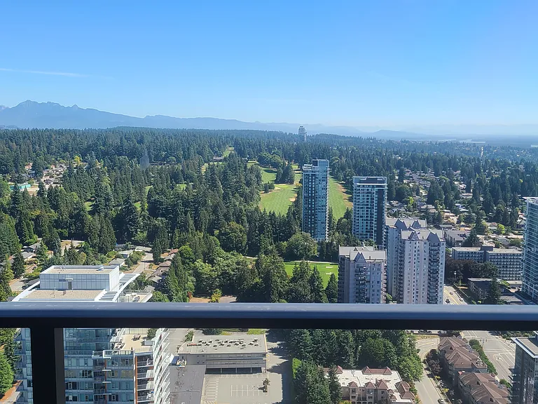 3809 Evergreen Pl #4503 — Photo 29
