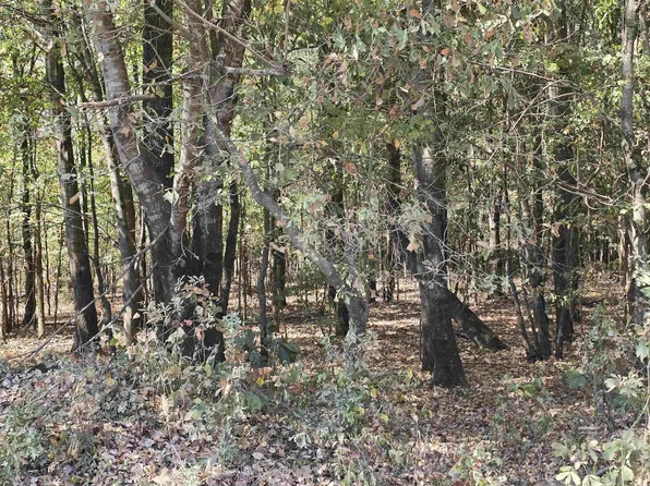 Tucker Rd, Searcy, AR 72143