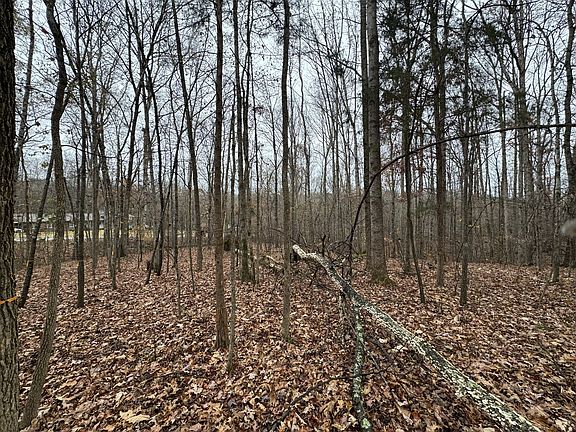 5th image of 0 Dogwood Cir Lot 4
