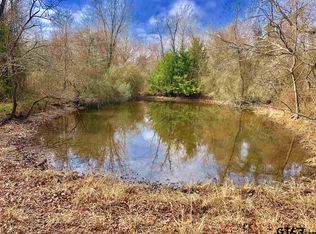 14AC County Road 3344 #1, Pickton, TX 75471