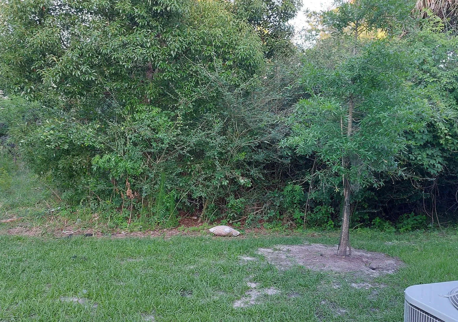 Townhome in Baymeadows — Photo 3