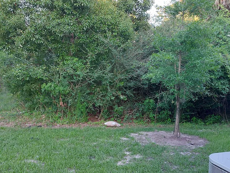 7853 Echo Springs Rd — Photo 3