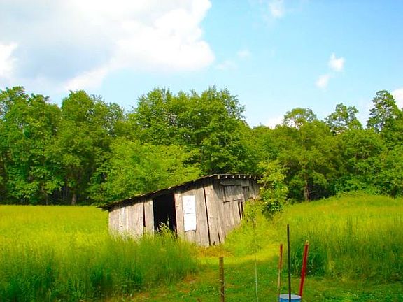 4th image of 346 Mare Ln