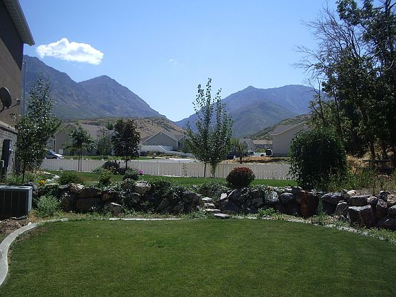 Side yard looking south