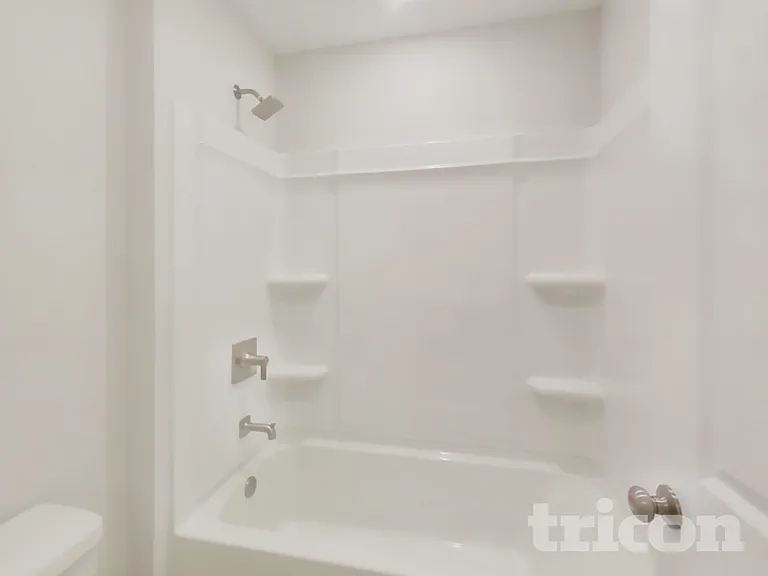 64 Brazil Nut Cir — Photo 14