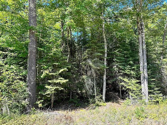 2nd image of W Hemlock Views Trl Lot 21 & 22