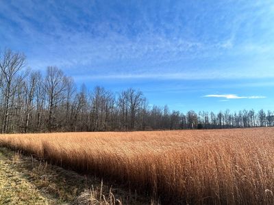 0 Short Mountain Rd, Woodbury, TN, 37190