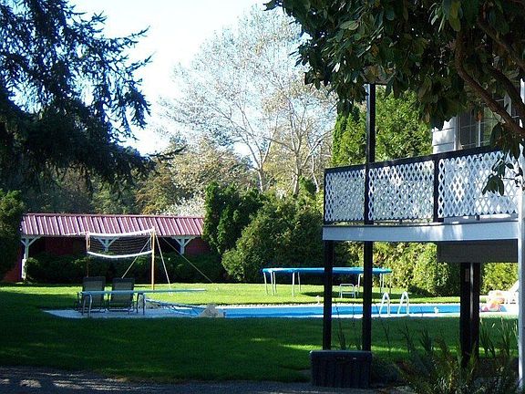 Pool and backyard