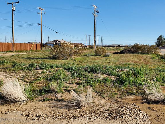 2nd image of Greenwood Ave