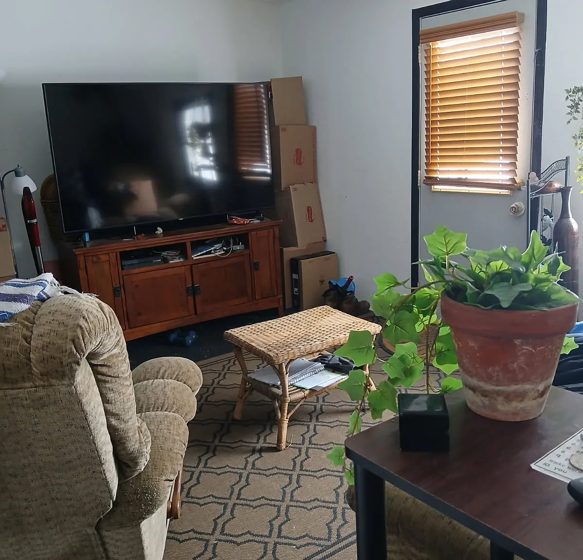 3 bed, $800 — Photo 4