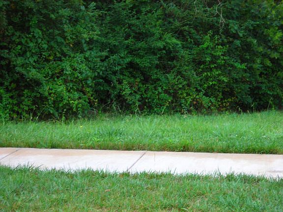 .8 Acre- very large- private