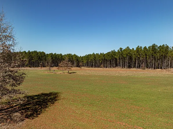 T1 Old Zebulon Rd, Forsyth, GA 31029
