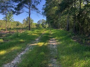 LOT 3 Dyess Dairy Rd, Opp, AL 36467