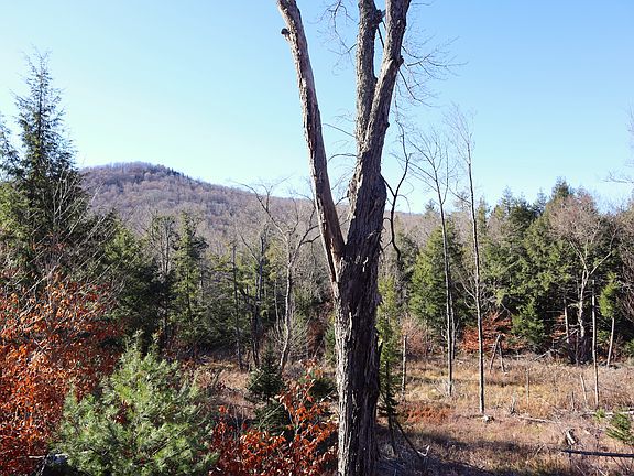 5th image of 3 Harrisburg Rd Lot Wp001