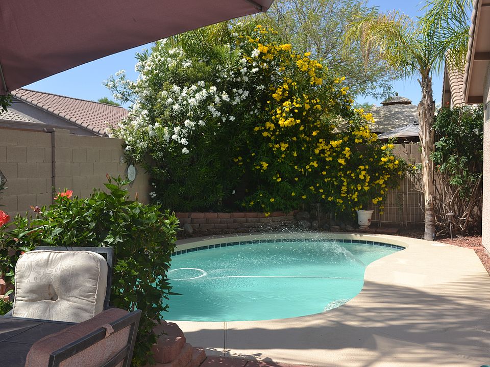 Backyard paradise 