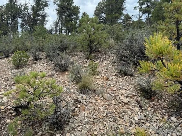 101 L 101 #&-103, Timberon, NM 88350