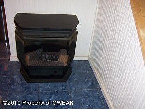 Lower Level Gas Fireplace