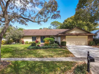1312 Golfside Dr, Winter Park, FL, 32792
