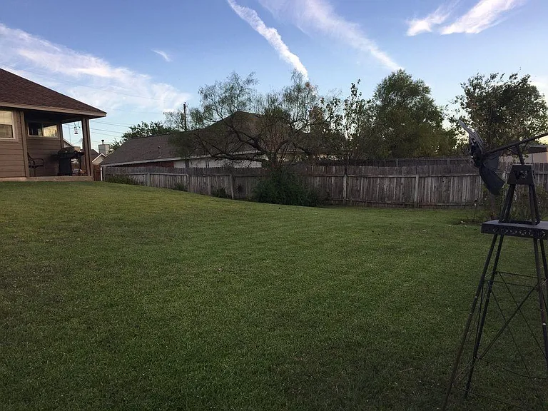 Back yard