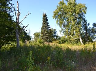 127 Alfred Creek Road, Lutsen, MN 55612