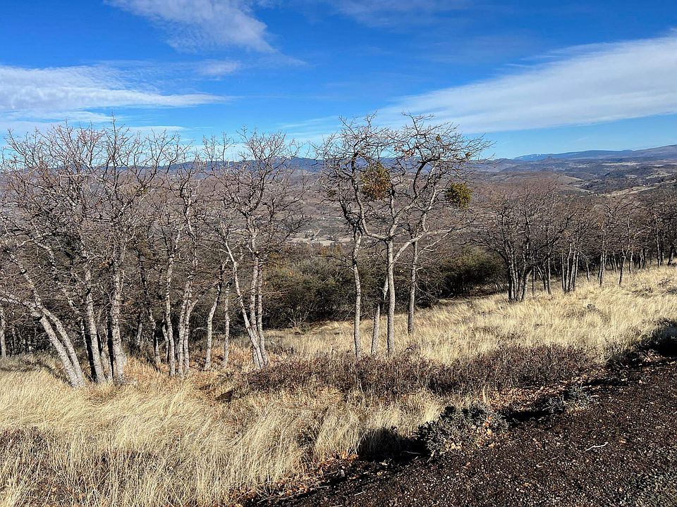 LOT 575 Owens Way, Hornbrook, CA 96044 MLS 20230089 Zillow