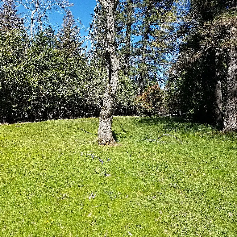 11213 Ridge Rd photo 1