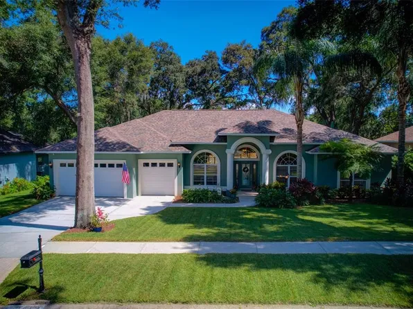 2412 Valrico Forest Dr, Valrico, FL 33594