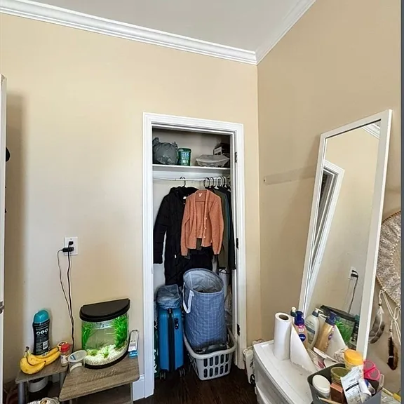 47 Dalrymple St #3 — Photo 3
