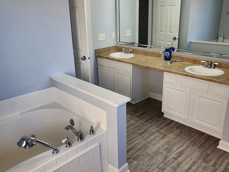 Master bathroom large bathtub