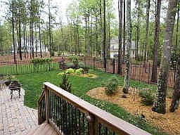 nicely landscaped back yard