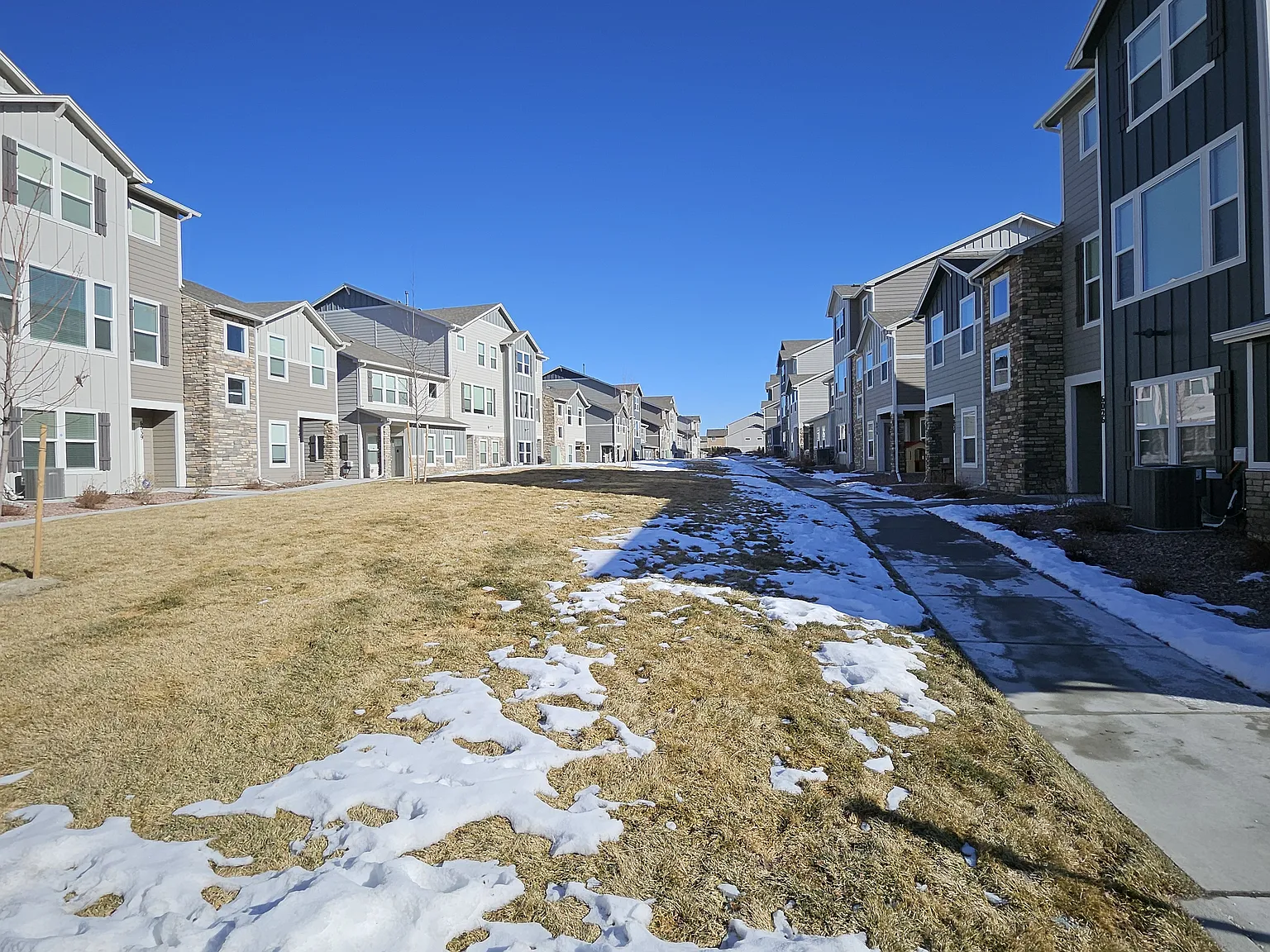 3 bed, 1773 sqft, $2,300 — Photo 3