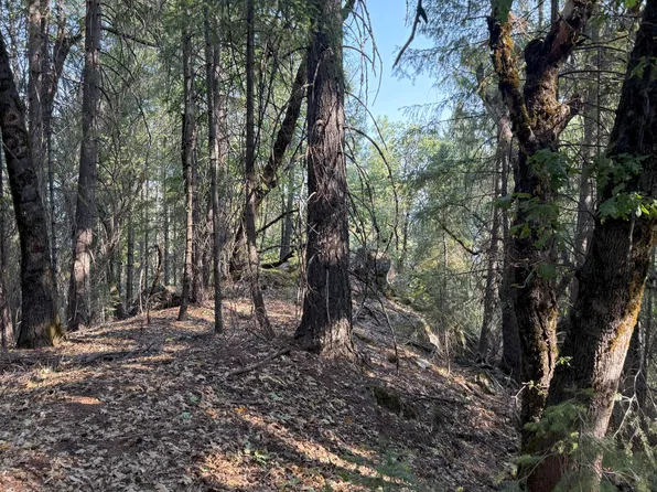 Jefferson Creek Rd, Nevada City, CA 95959