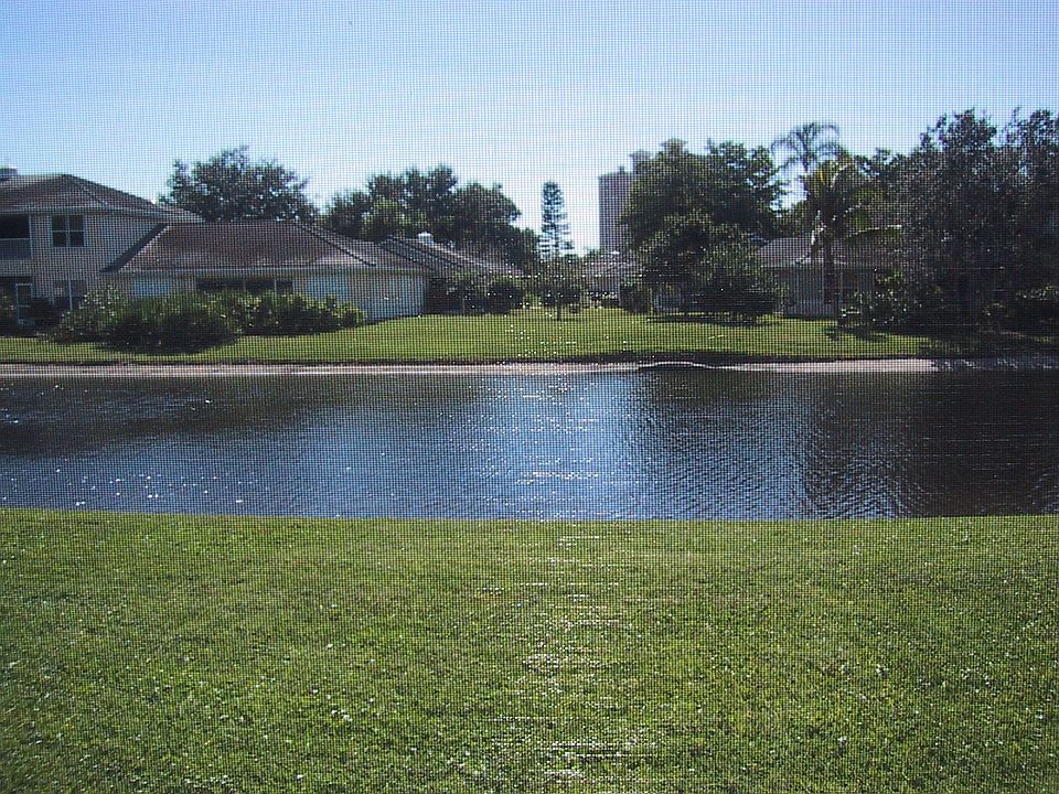  View from outside Lani